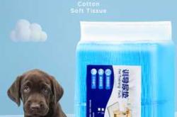 小刘垫尿不湿了吗