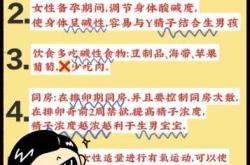 备孕几率多少算怀上