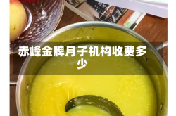 赤峰金牌月子机构收费多少