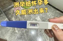 多久用试纸能测出是否怀孕
