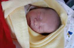 备孕女性梦到蛇杀小老虎有何寓意