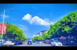 怀孕4个月胎教音乐选什么好