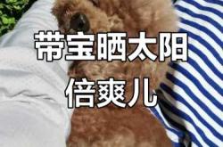 晒太阳晒后背助备孕吗