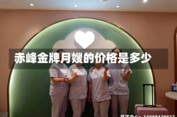 赤峰金牌月嫂的价格是多少
