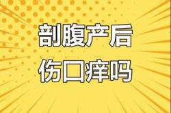 剖腹产伤口渗血怎么办