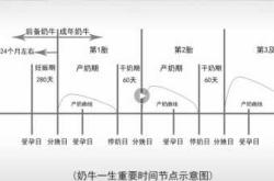 二胎顺产后多久能有奶