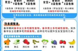 想要女孩怎么备孕
