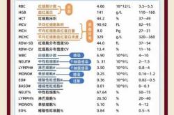 备孕前检查抽血量有多少