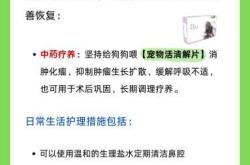 狗生产后喘粗气是怎么回事