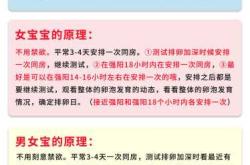 如何备孕二胎宝宝的方法