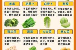 产后狗吃什么营养又合适