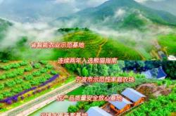 产后能吃桃胶吗