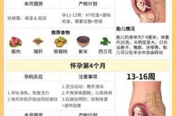 备孕和怀孕能不能吃羊肉