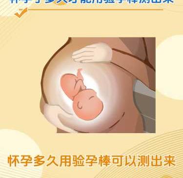 怀孕两个月能测出来吗