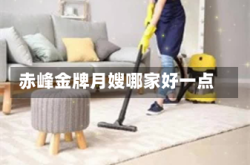 赤峰金牌月嫂哪家好一点