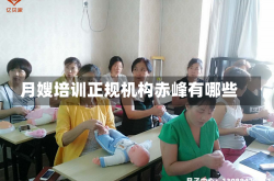 月嫂培训正规机构赤峰有哪些