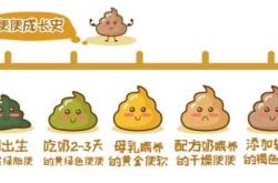 吃辅食后大便有啥变化吗