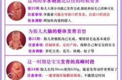 如何完美胎教40周