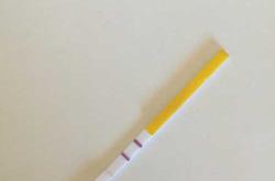 喝三九胃泰后能马上备孕吗