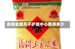 赤峰金牌月子护理中心费用多少