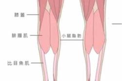 产后如何增高