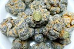 备孕女生可以吃田三七吗