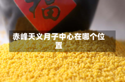 赤峰天义月子中心在哪个位置