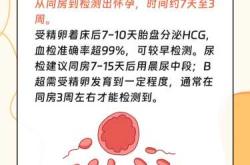 备孕能否连续三天同房