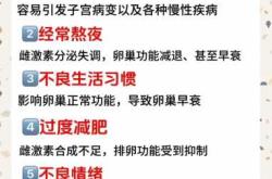 备孕半年没动静咋回事