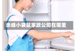 赤峰小袋鼠家政公司在哪里