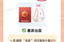 验血能查出怀孕吗