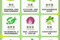 孕反何时开始何时结束