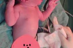 新生婴儿图片长什么样呢