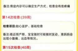 备孕半年检查挂什么科