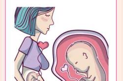 每个孕妈妈都会有孕反吗