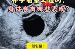 备孕如何做彩超检查卵泡质量