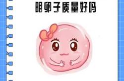 刚怀孕会出现什么孕反