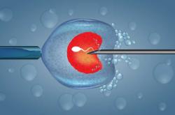 如何了解试管婴儿过程