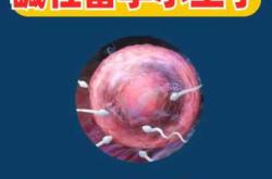 11月份备孕如何才能怀上男宝