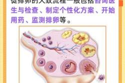 备孕夫妻排卵期该吃什么
