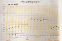 备孕测量体温目的是什么