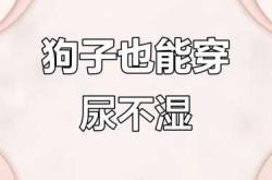 狗尿不湿小了怎么办