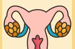 女性备孕太难怎么办