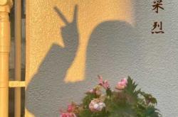 如何用词语形容婴儿天真的笑