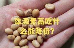 备孕前吃什么食物能排污血