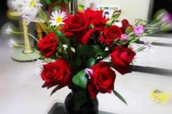 关键词放入花瓶对备孕有影响吗