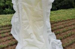 生孩子用拉拉裤有必要吗