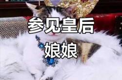 皇后娘娘是婴儿吗