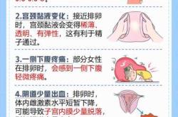 月经过后几天易怀孕