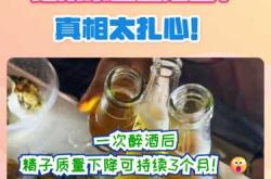 喝酒备孕成功率高吗